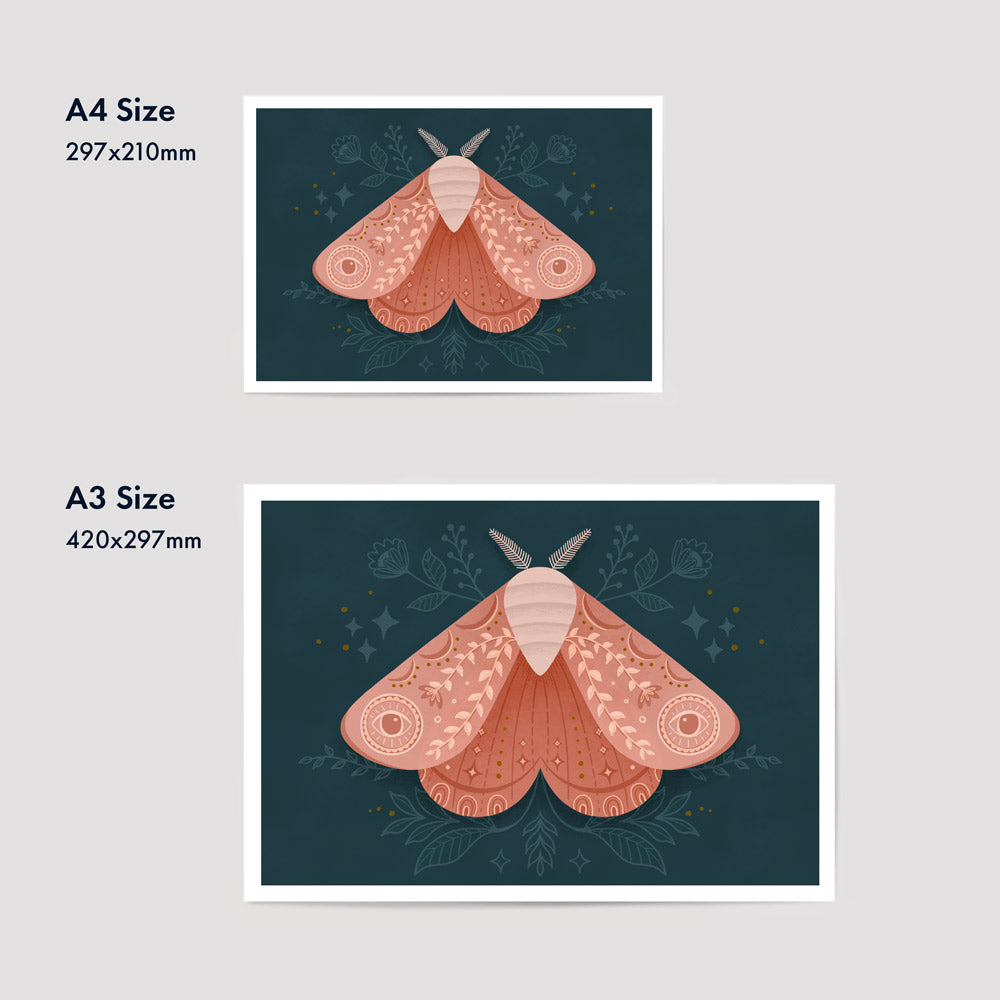 Moth | Fine Art Print