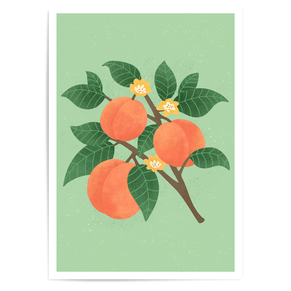 Summer Series - Peaches | Fine Art Print