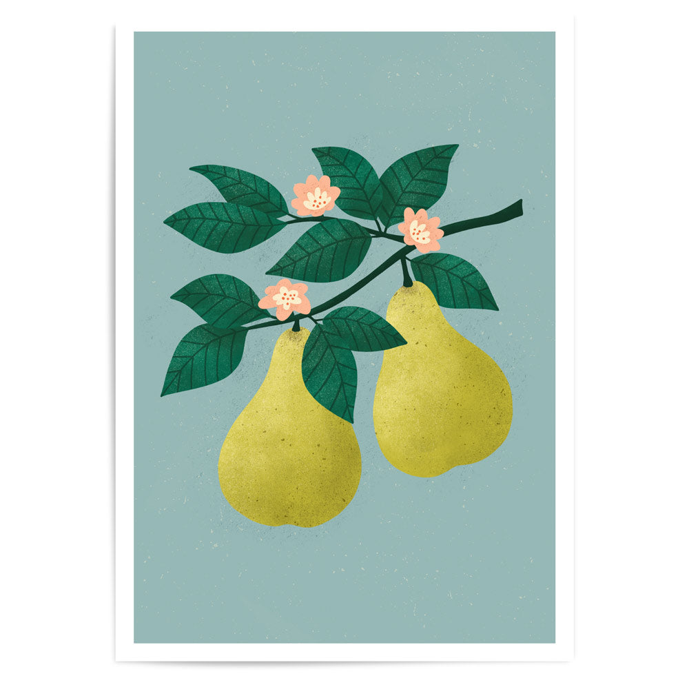 Summer Series - Pears | Fine Art Print