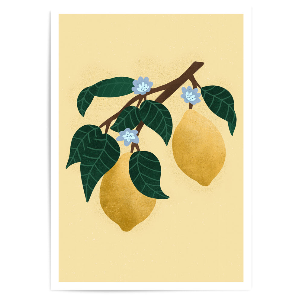Summer Series - Lemons | Fine Art Print