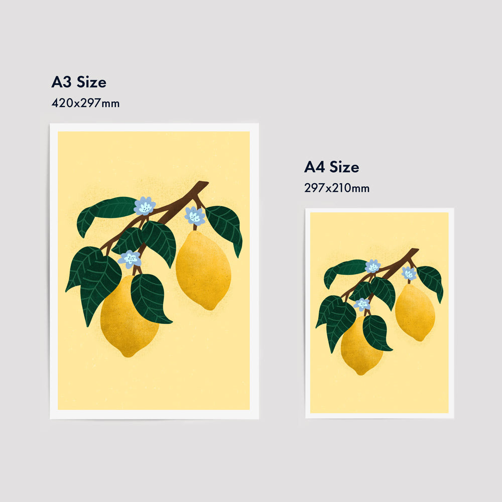 Summer Series - Lemons | Fine Art Print