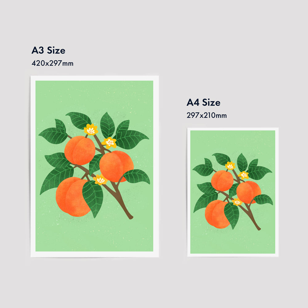 Summer Series - Peaches | Fine Art Print
