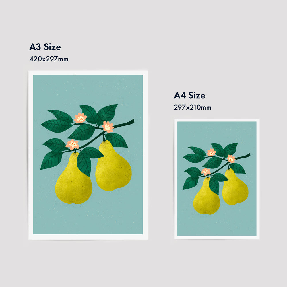 Summer Series - Pears | Fine Art Print