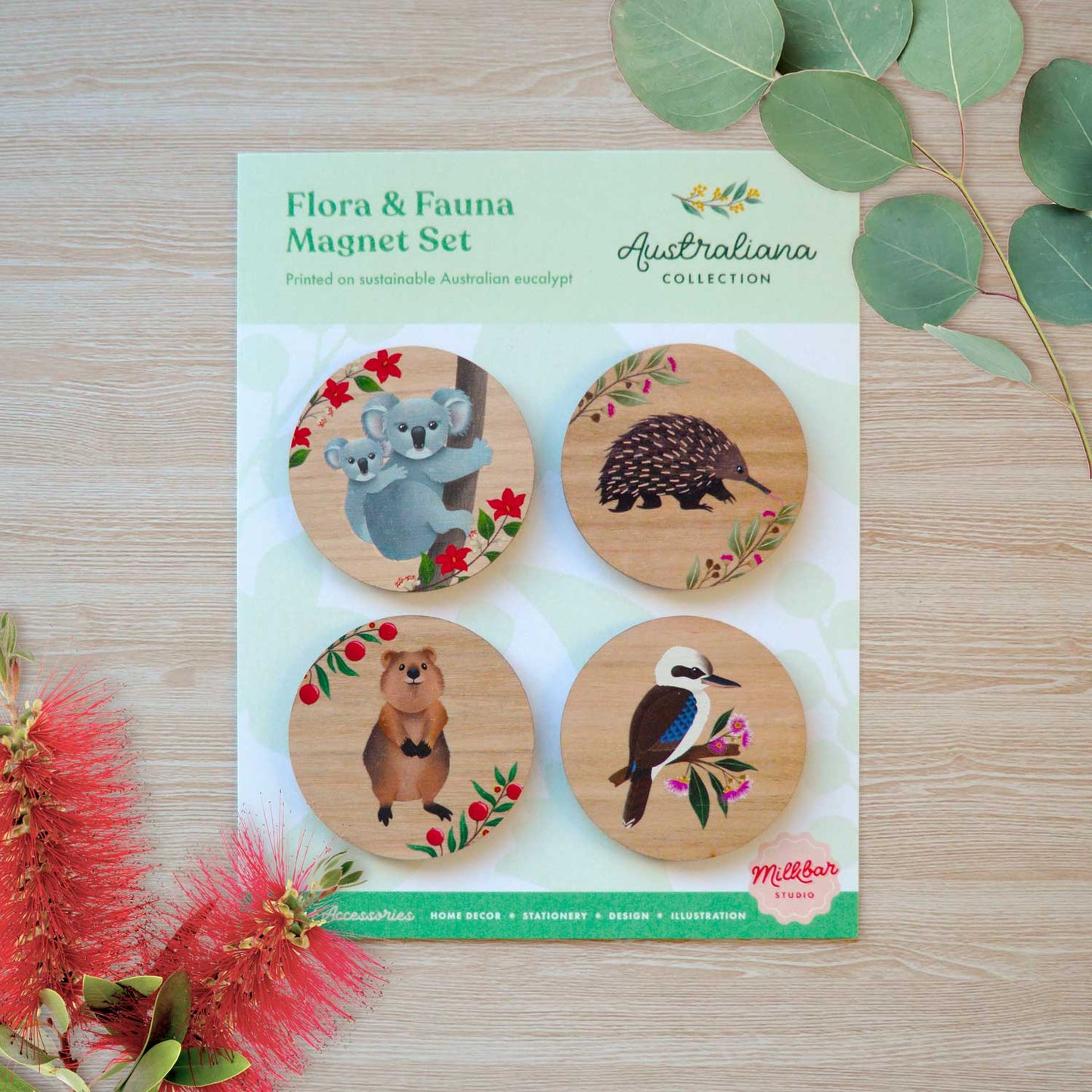 Wooden Magnets Set | Pack 1