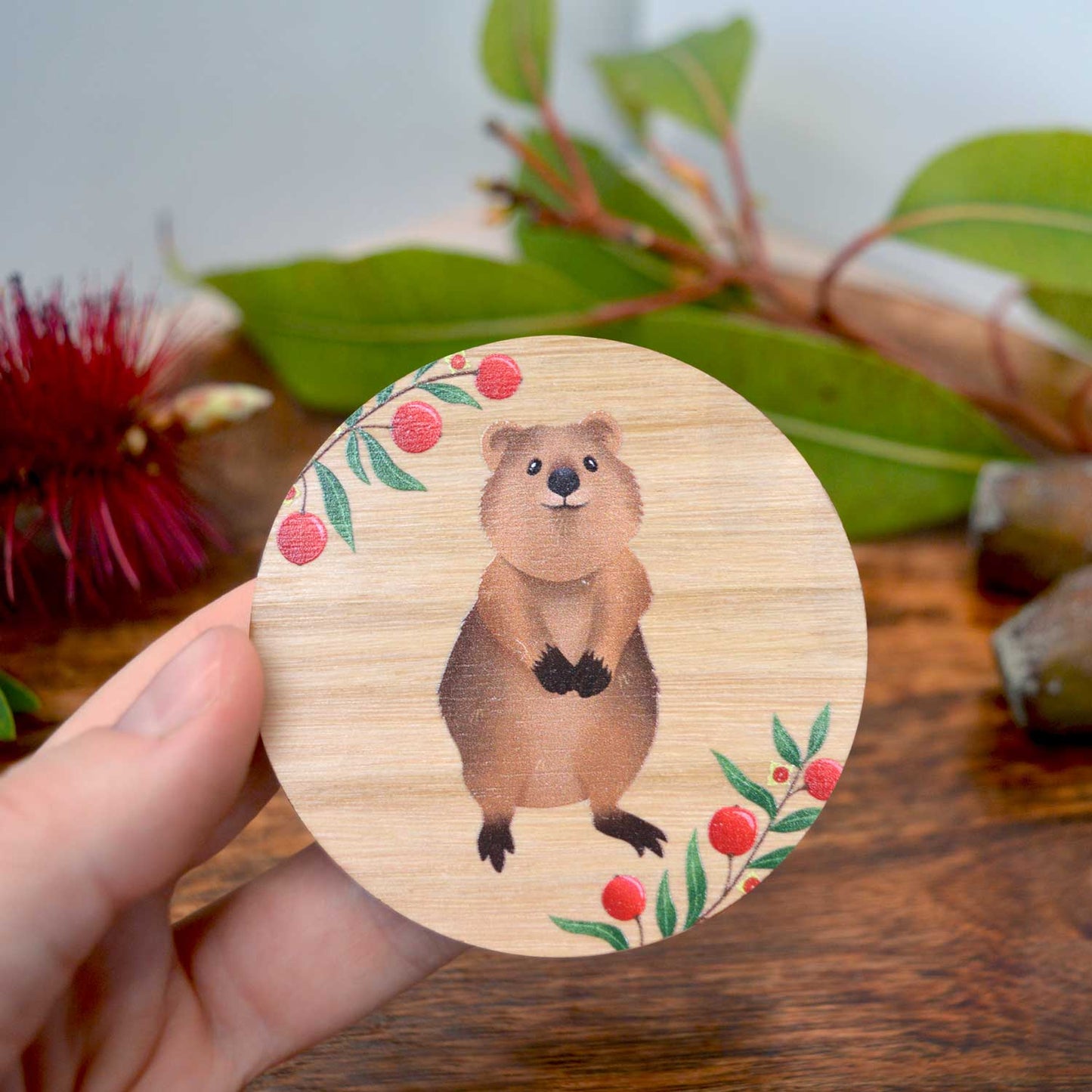 Wooden Magnets Set | Pack 1