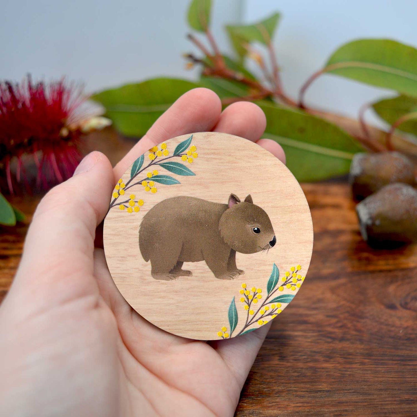 Wooden Magnets Set | Pack 3