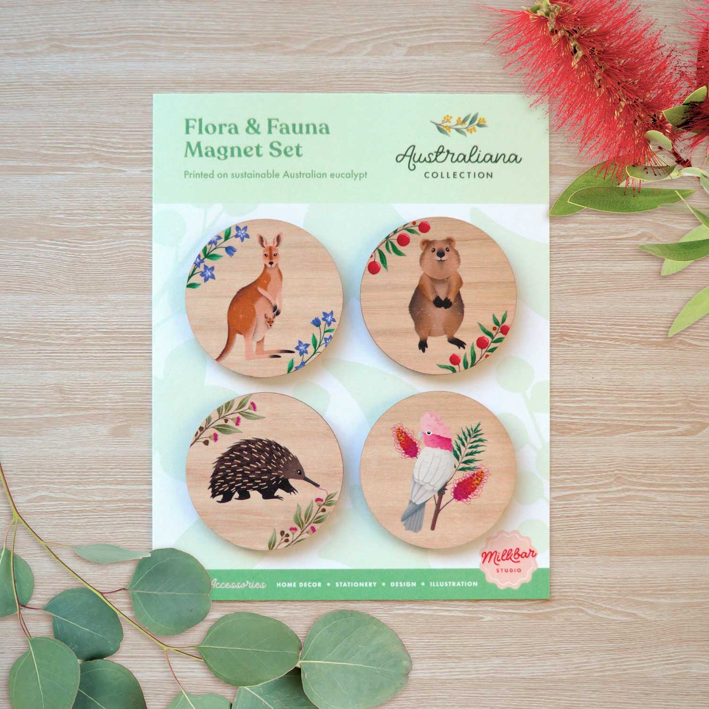Wooden Magnets Set | Pack 4