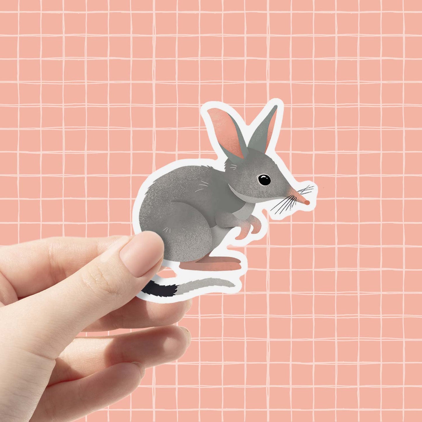 Bilby | Vinyl Sticker