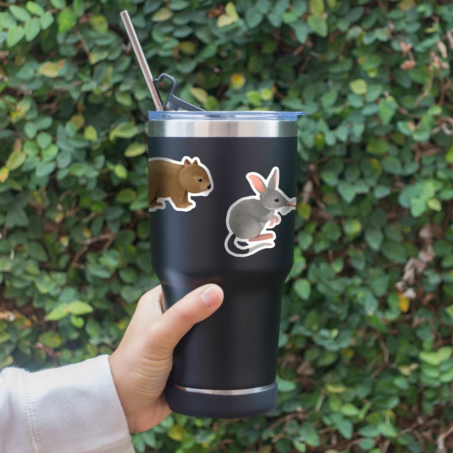 Bilby | Vinyl Sticker
