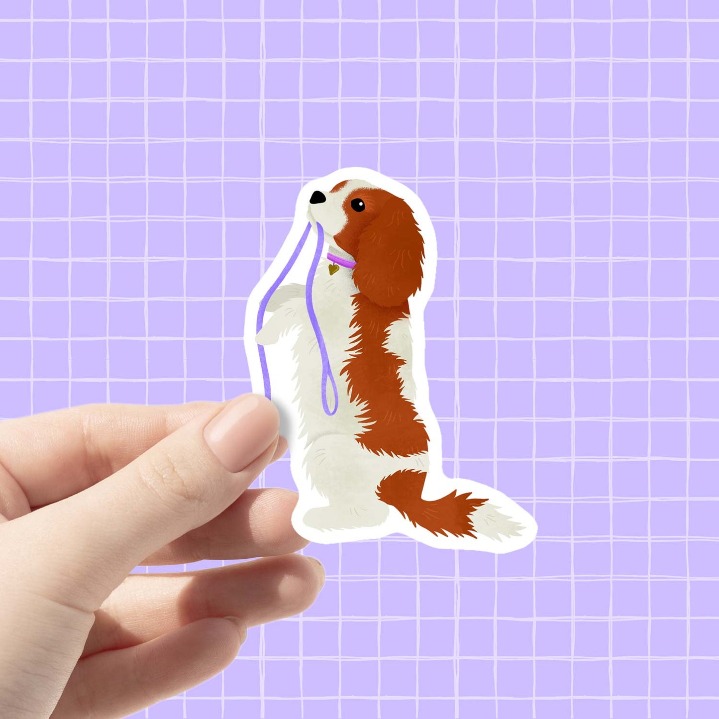 Cavalier | Vinyl Sticker
