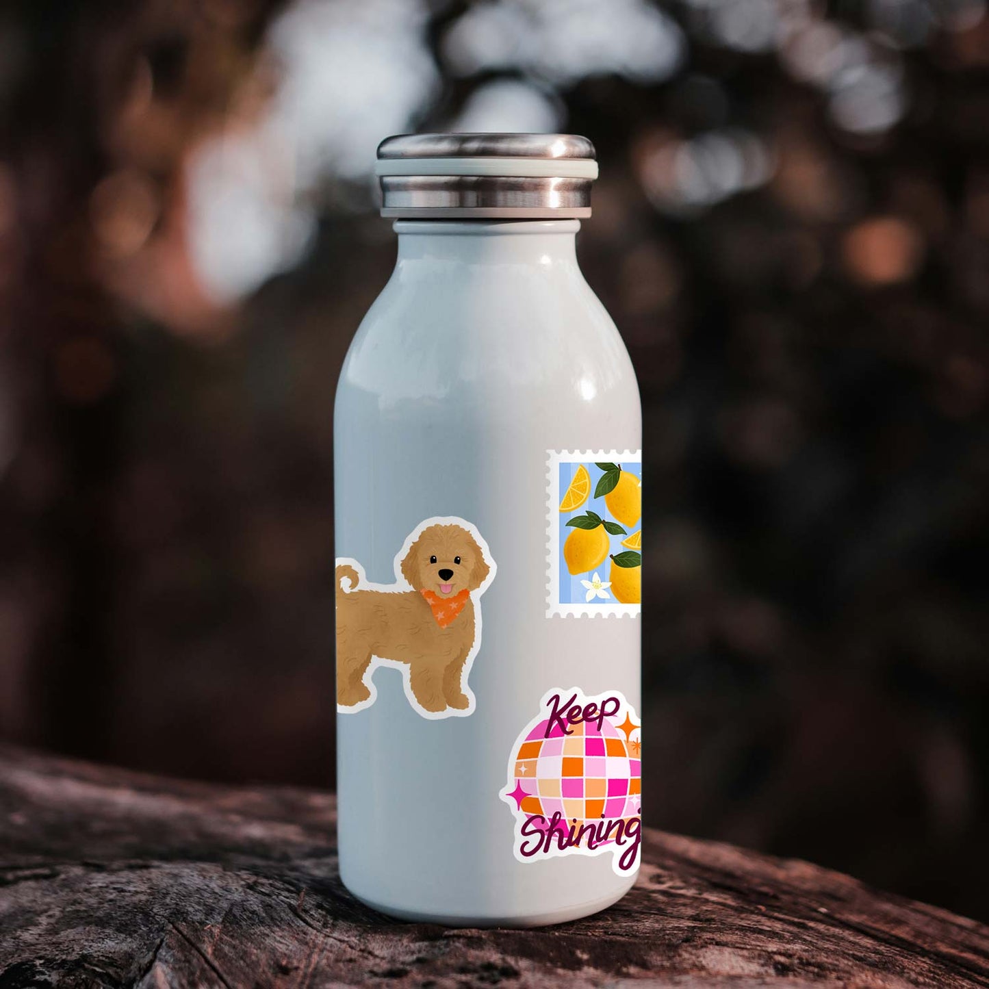 Cavoodle | Vinyl Sticker
