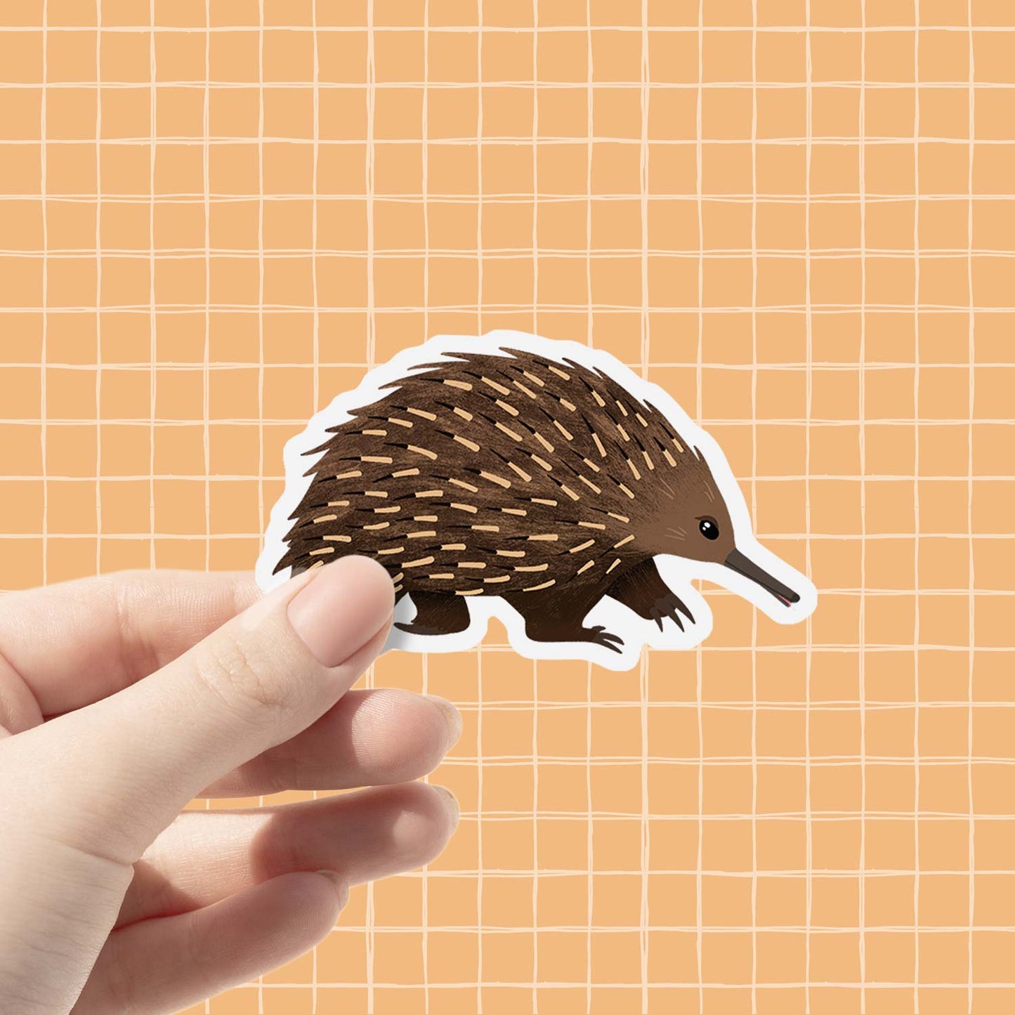 Echidna | Vinyl Sticker
