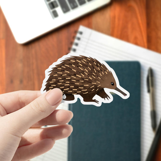 Echidna | Vinyl Sticker