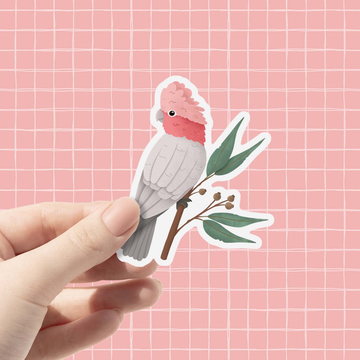 Galah | Vinyl Sticker