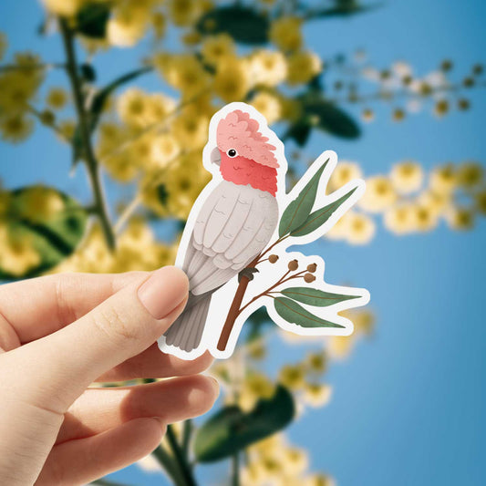 Galah | Vinyl Sticker
