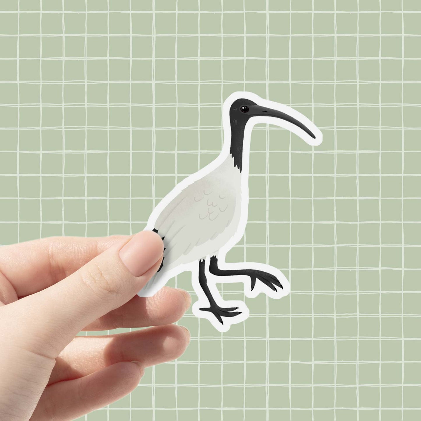 Ibis | Vinyl Sticker