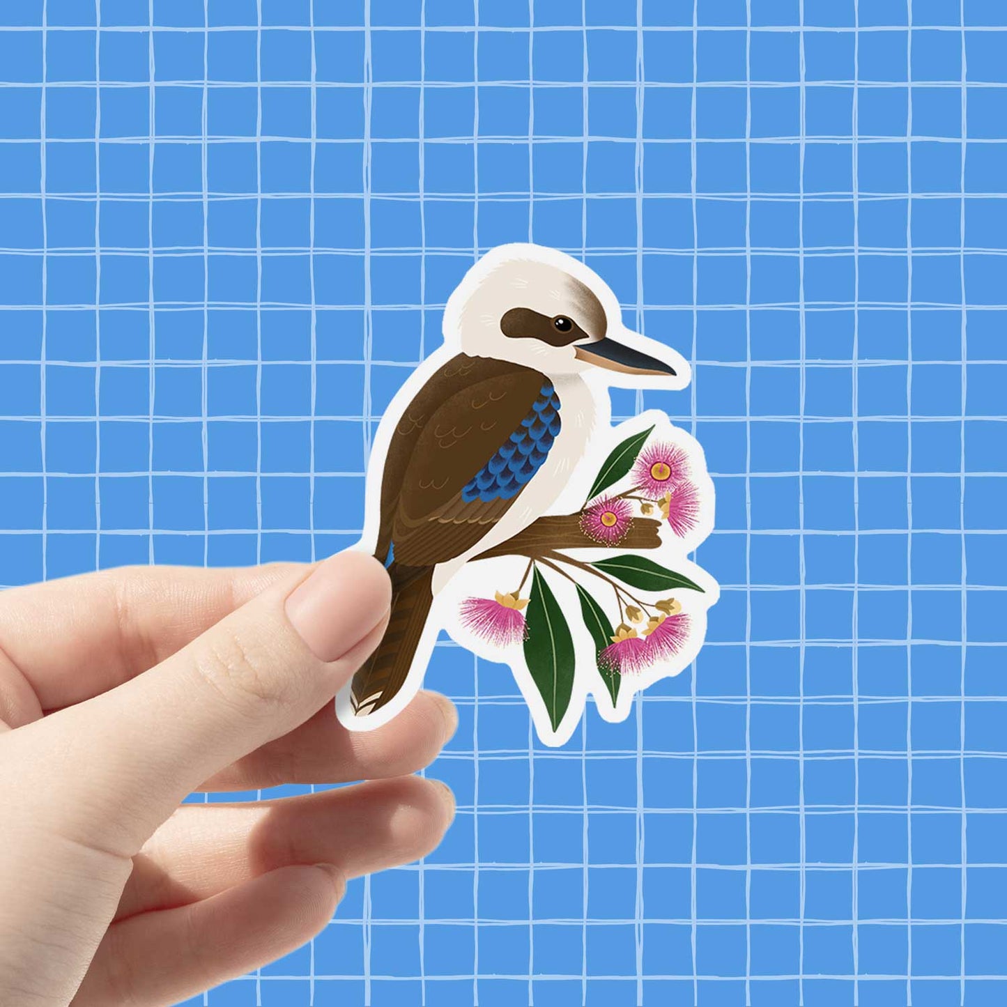 Kookaburra | Vinyl Sticker