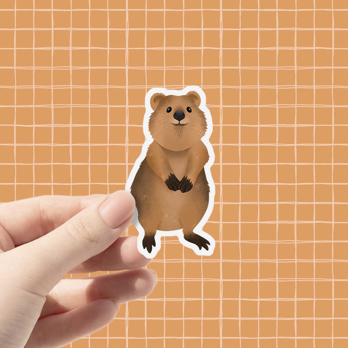 Quokka | Vinyl Sticker