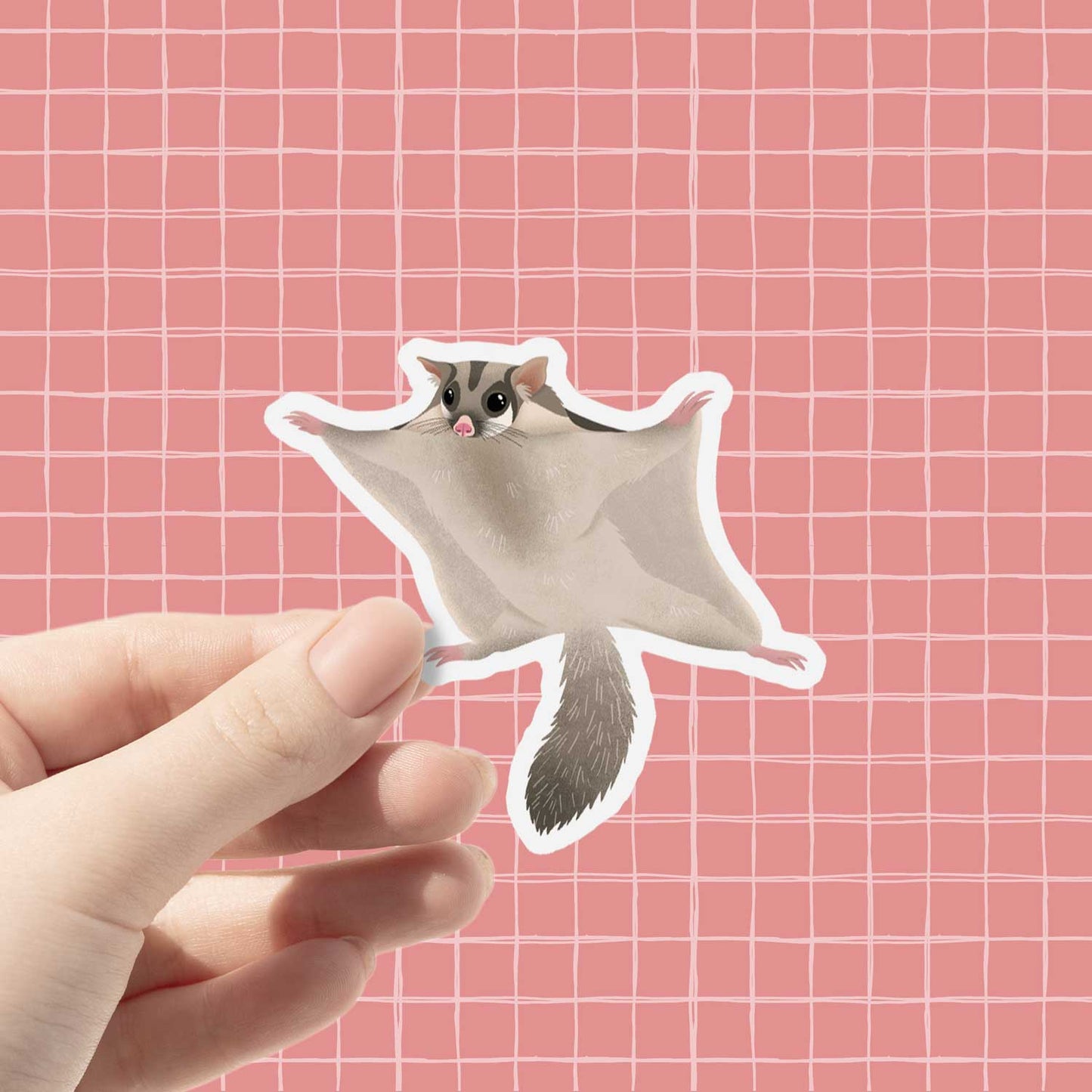 Sugar Glider | Vinyl Sticker