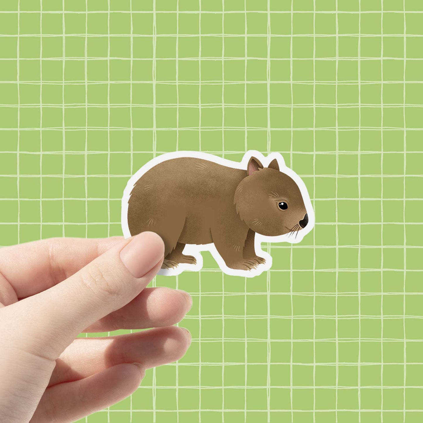 Wombat | Vinyl Sticker