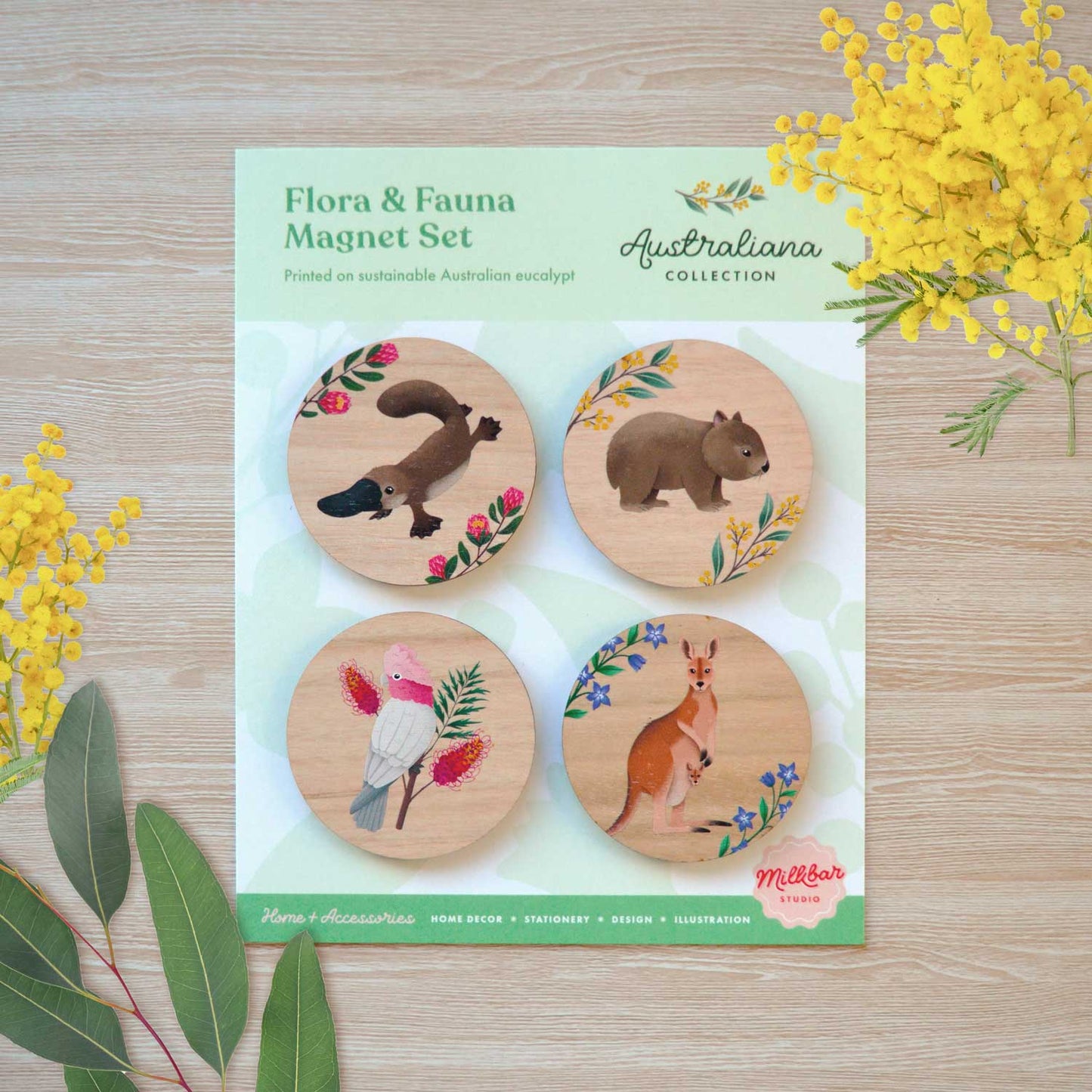 Wooden Magnets Set | Pack 2