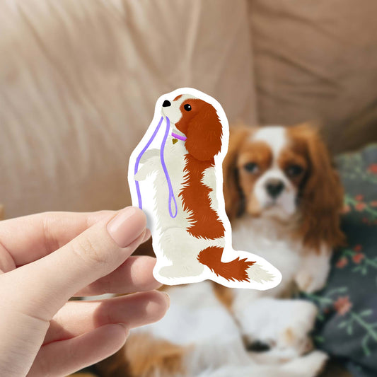 Cavalier | Vinyl Sticker