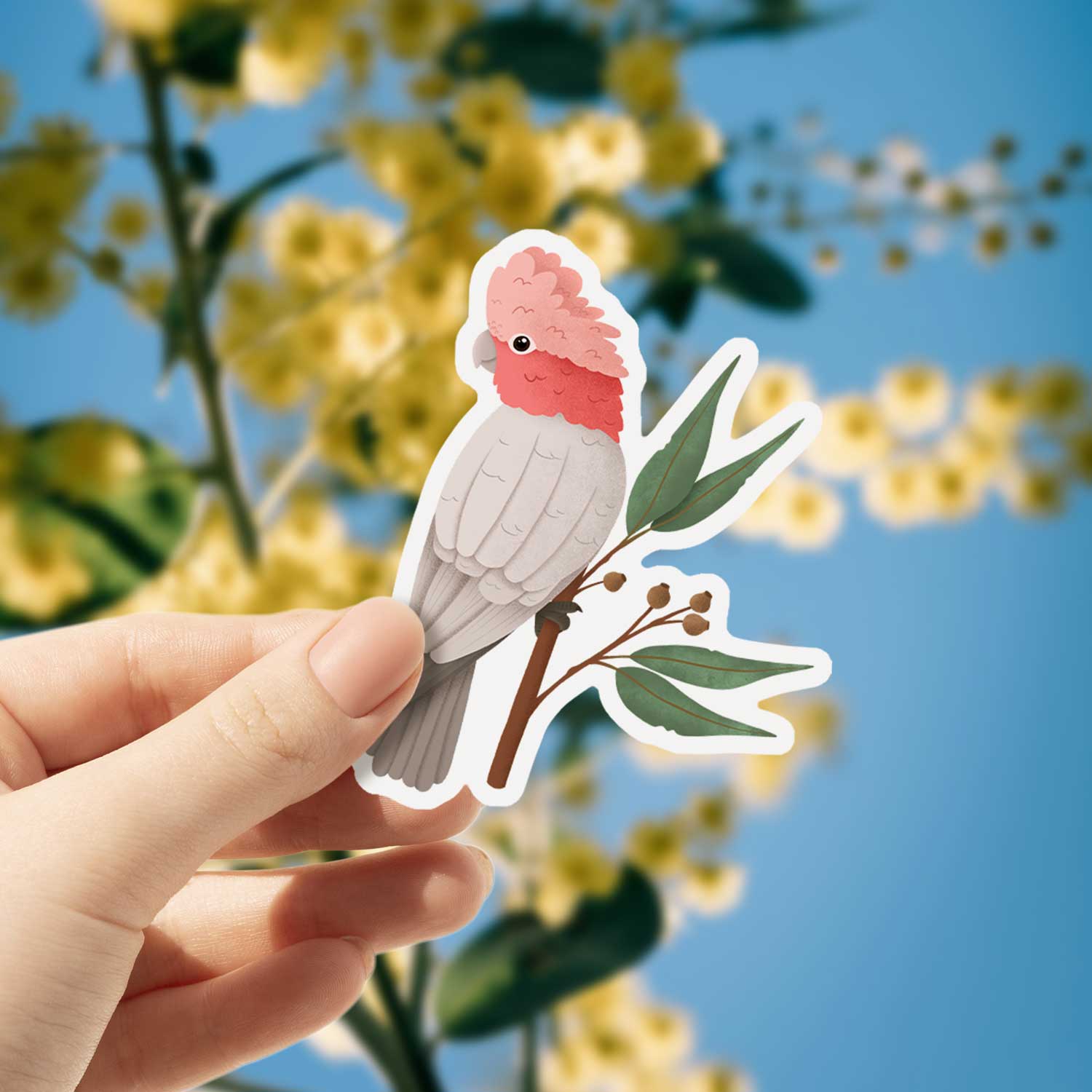 Gaali Sticker Galah | Vinyl Sticker – Milkbar Studio